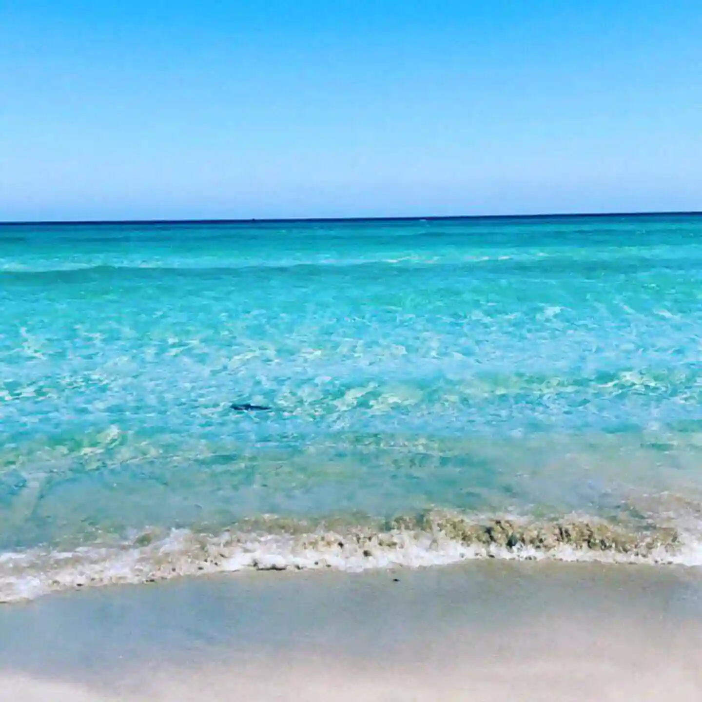 🏠 جاهز للسكن الفوري بدون أي مصاريف إضافية - Vue 3