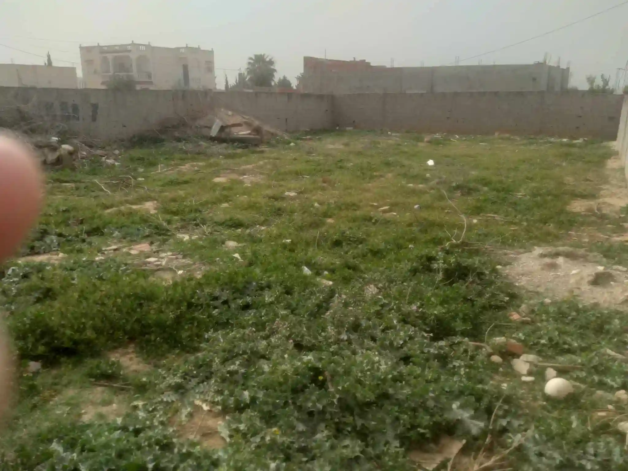 Bonne Occasion - Vue 2