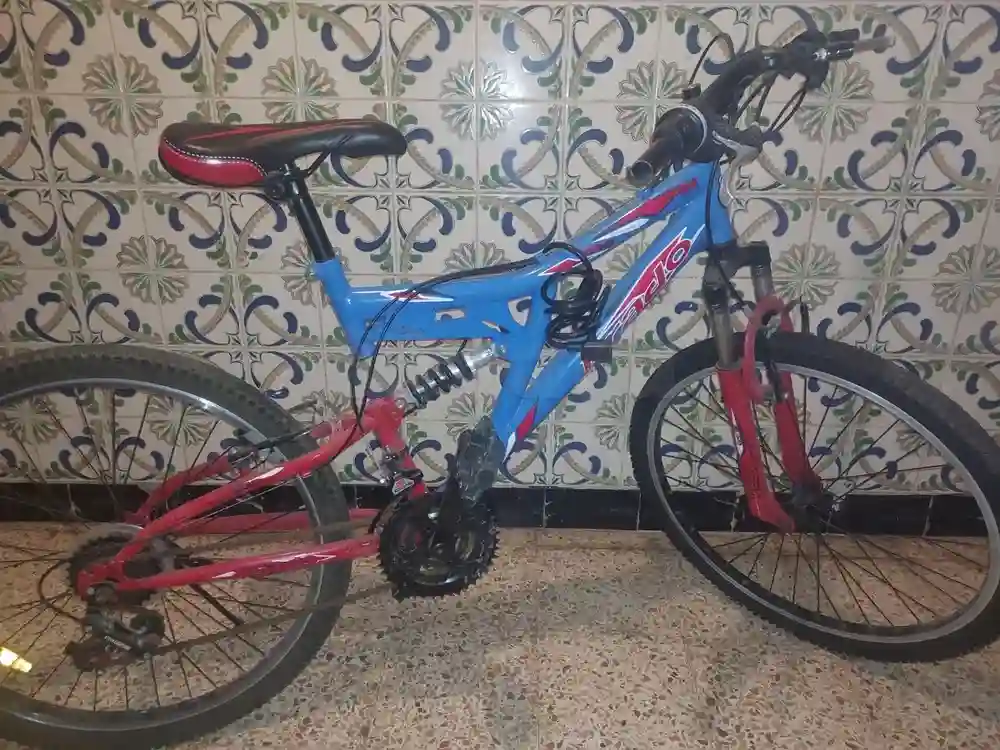 Bicyclette à La Goulette - Vue 1