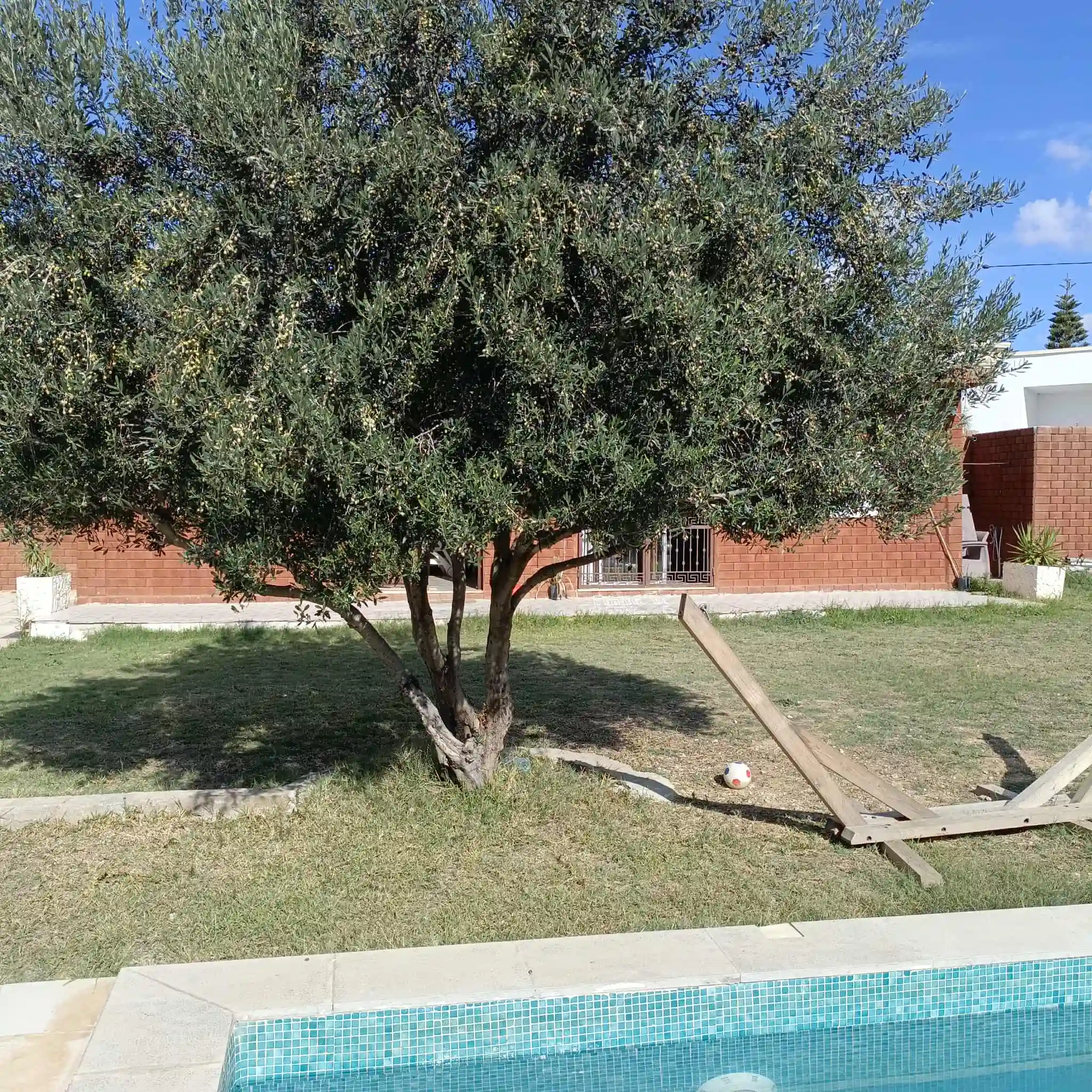Av Maison de 500m Avec Piscine à Hammamet à Hammamet - Vue 4