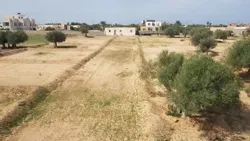 Lotissement Titré à Djerba