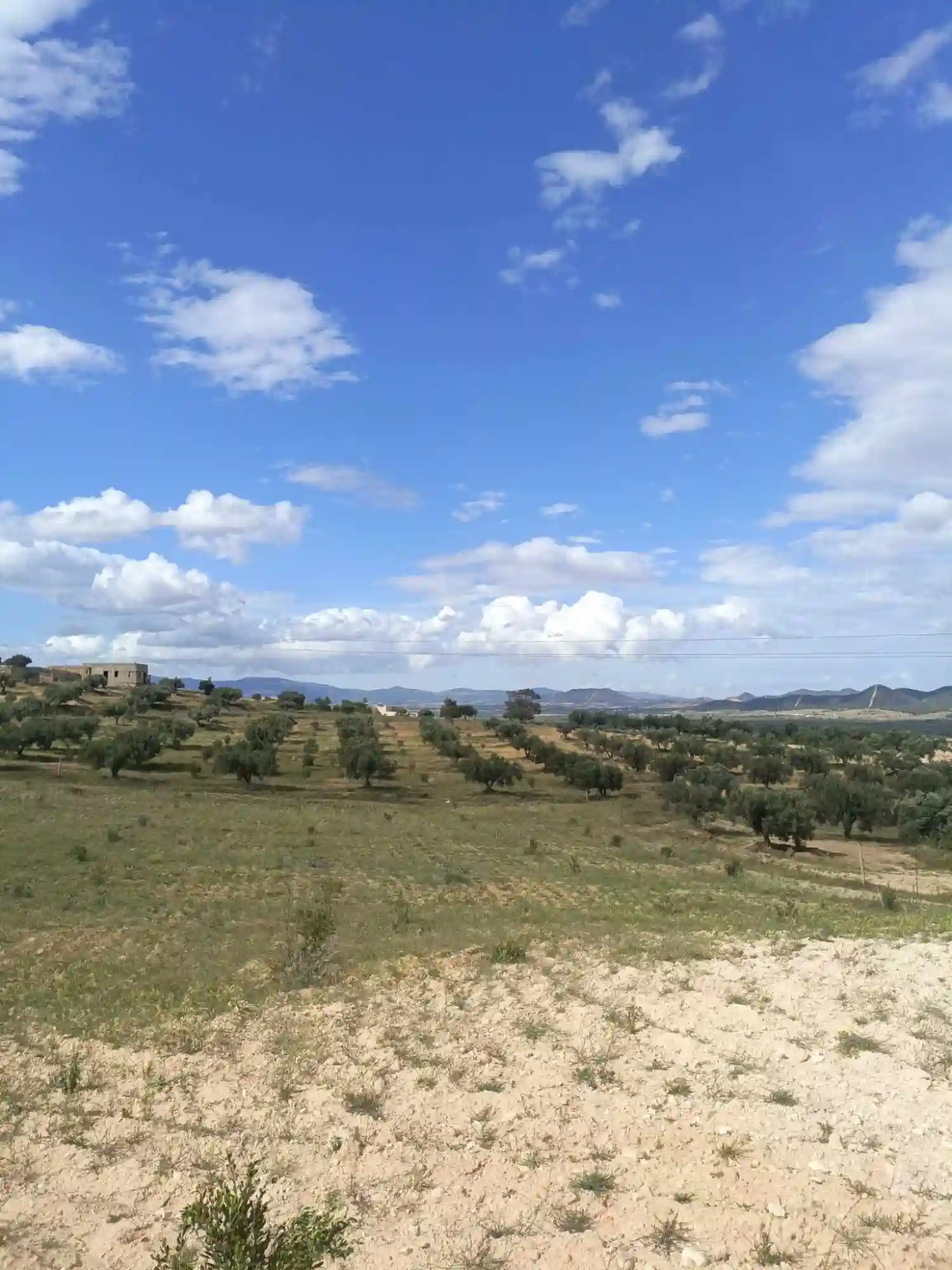 Av Terrain 4100m à Zaghouan - Vue 2