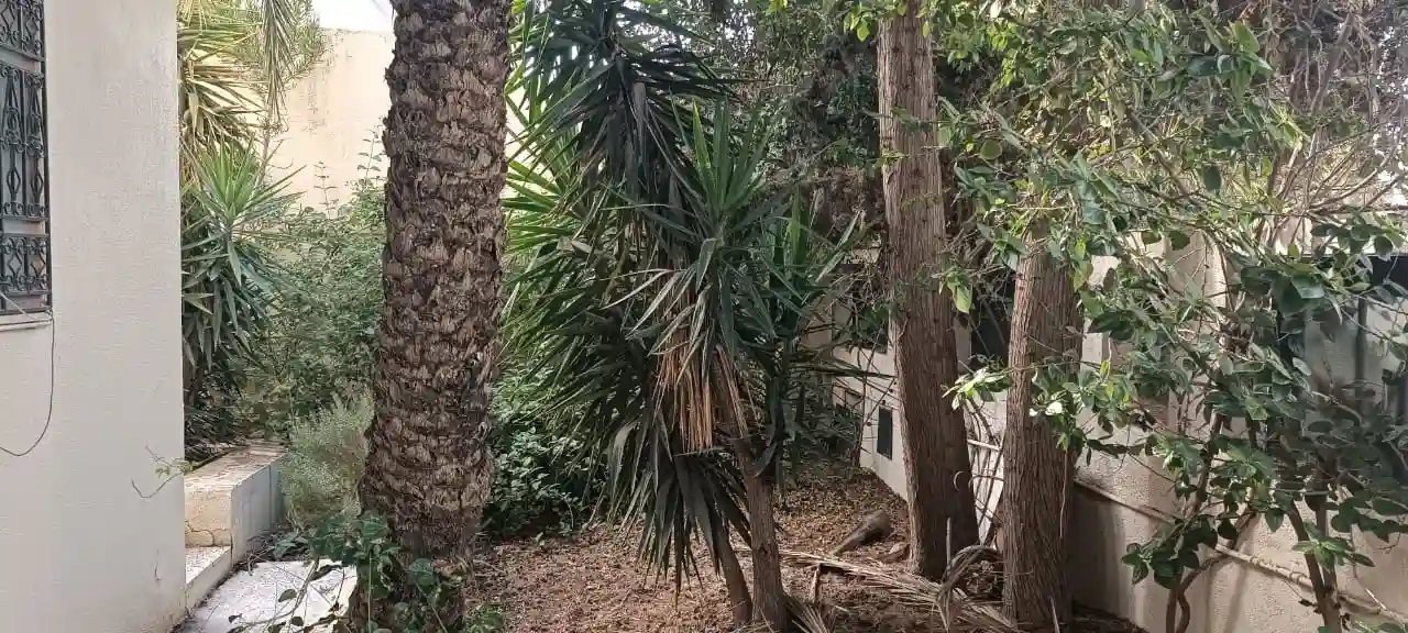 Villa D'angle au Menzah 5 à El Menzah 5 - Vue 4