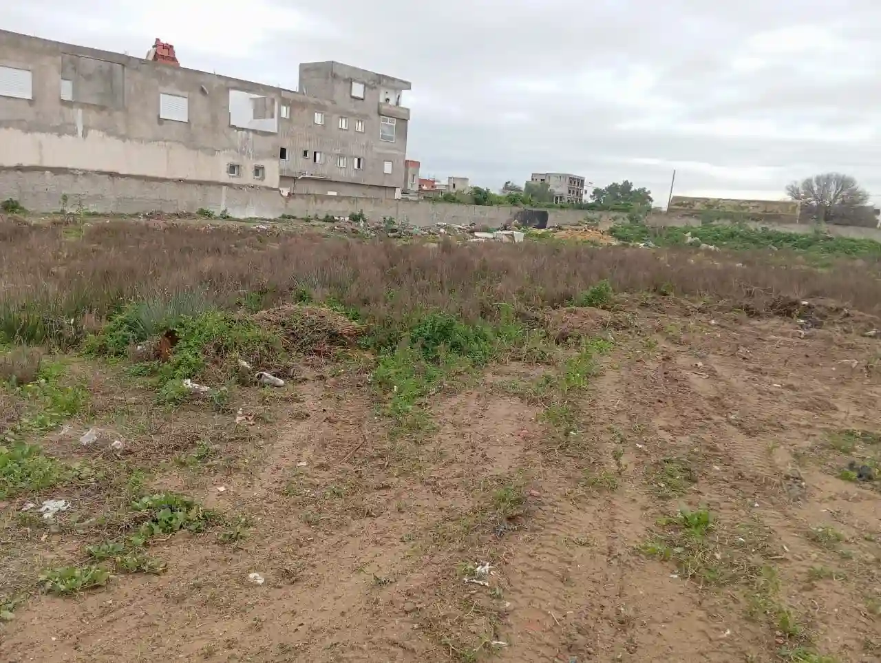 4000 m2 à Vendre à la Soukra - Vue 3