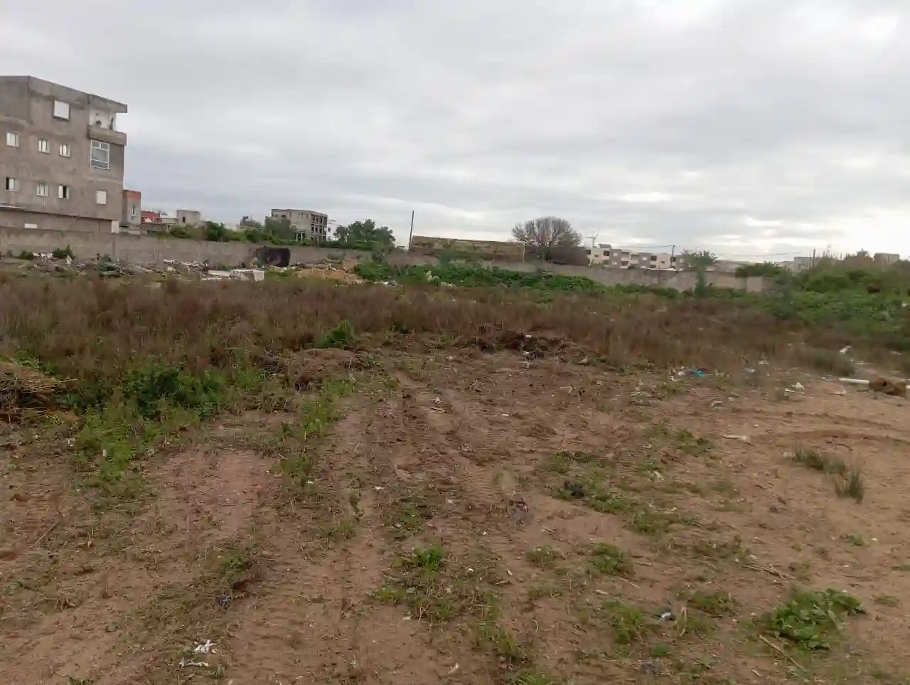 4000 m2 à Vendre à la Soukra - Vue 4