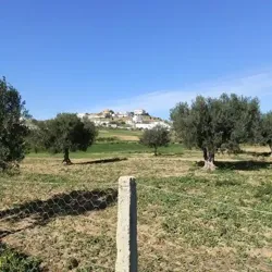 Av Terrain 1680m à Hamammet sud