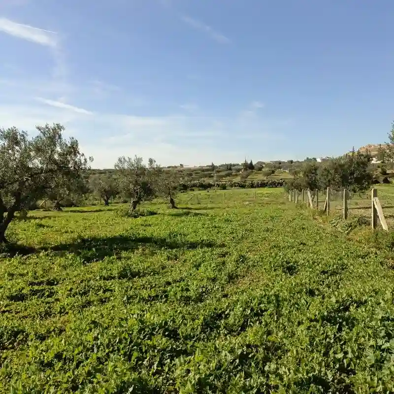 Av Terrain 1680m à Hamammet sud - Vue 1