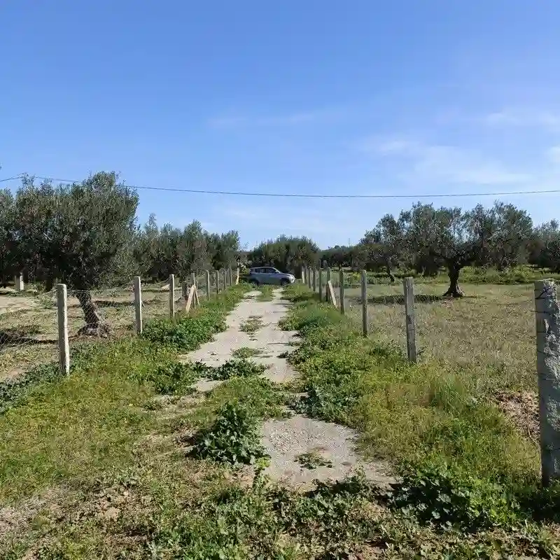 Av Terrain 1680m à Hamammet sud - Vue 2