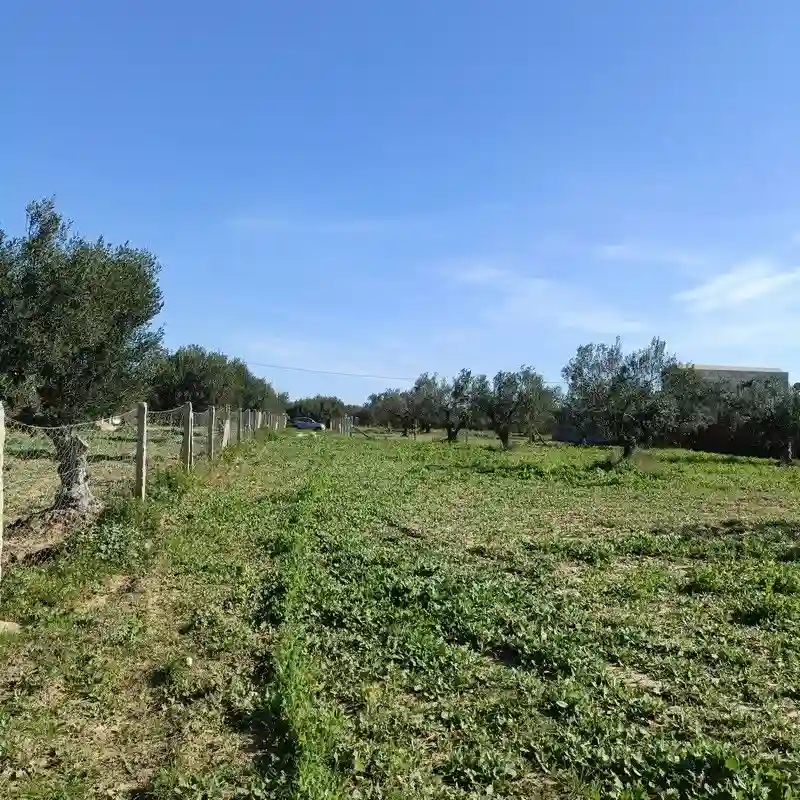 Av Terrain 1680m à Hamammet sud - Vue 3