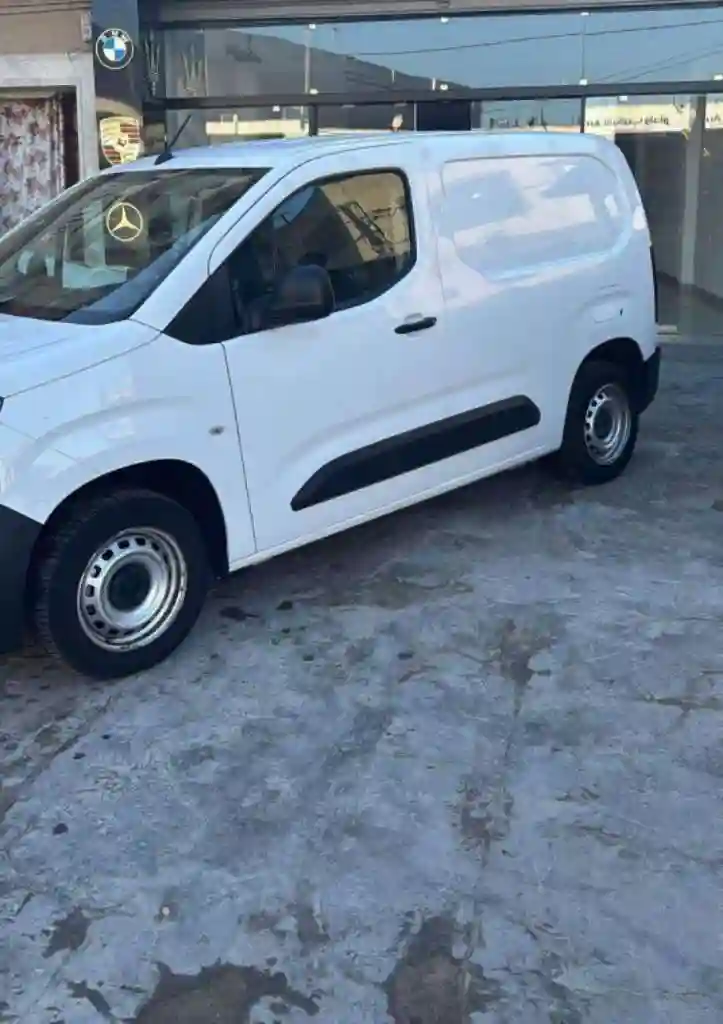 Citroen Berlingo k9 - Vue 1