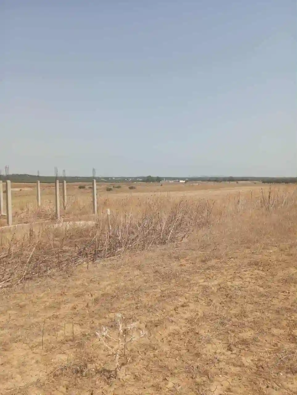 Av Terrain 7 Hectares Route Zaghouan Hammamet - Vue 2