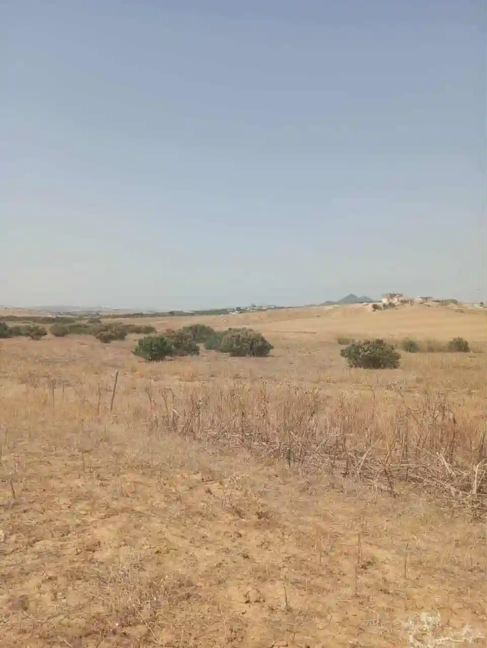 Av Terrain 7 Hectares Route Zaghouan Hammamet - Vue 3