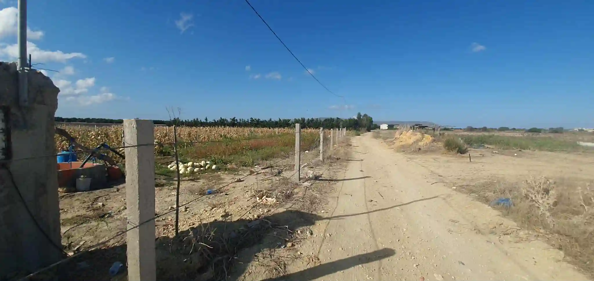 Ferme à Chraf el Haouaria à Charaf - Vue 1