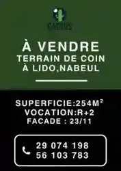 Terrain de Coin de 254m Ref664a à Nabeul