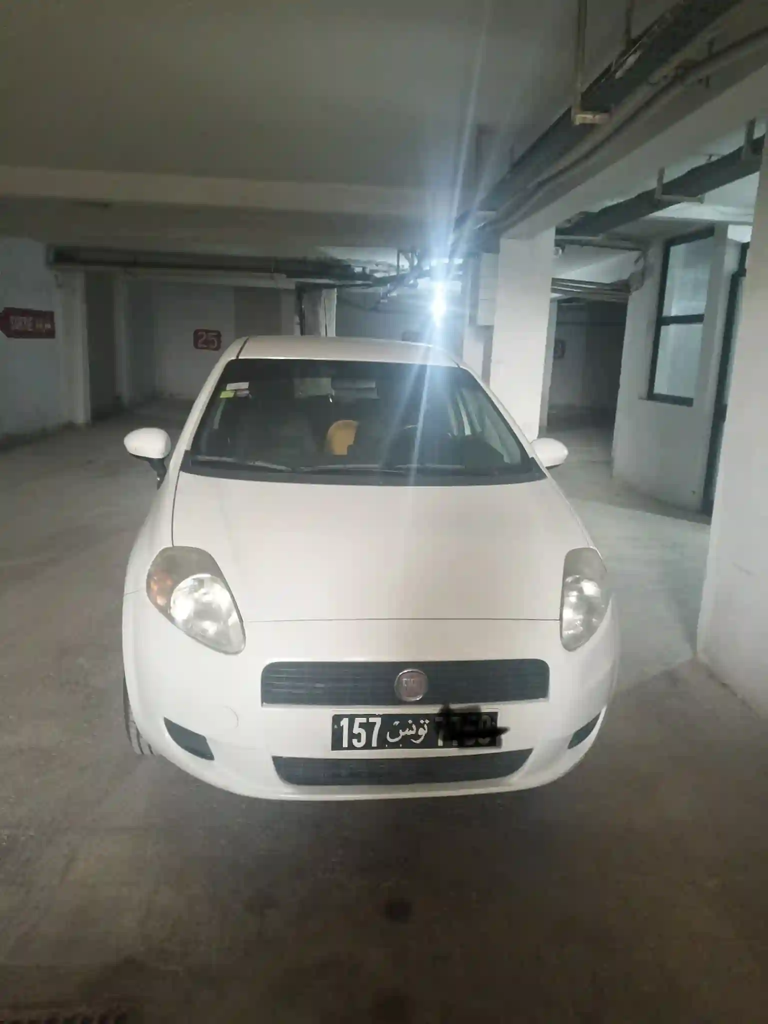 Grande Punto 5 Cheveux en Bonne Etat à El Menzah 1 - Vue 2