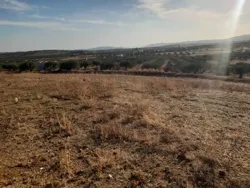 فرصصة 1300م بضواحي الحمامات موقع خلاب