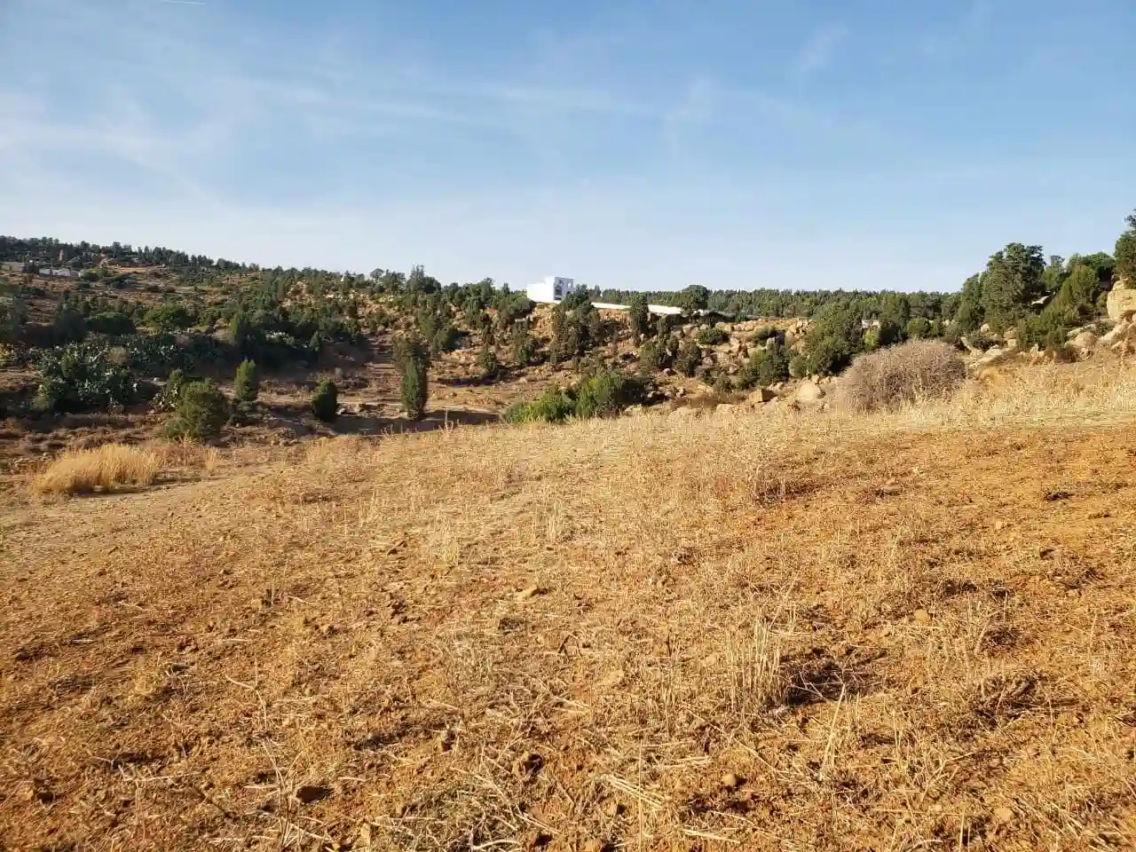 فرصصة 1300م بضواحي الحمامات موقع خلاب - Vue 1