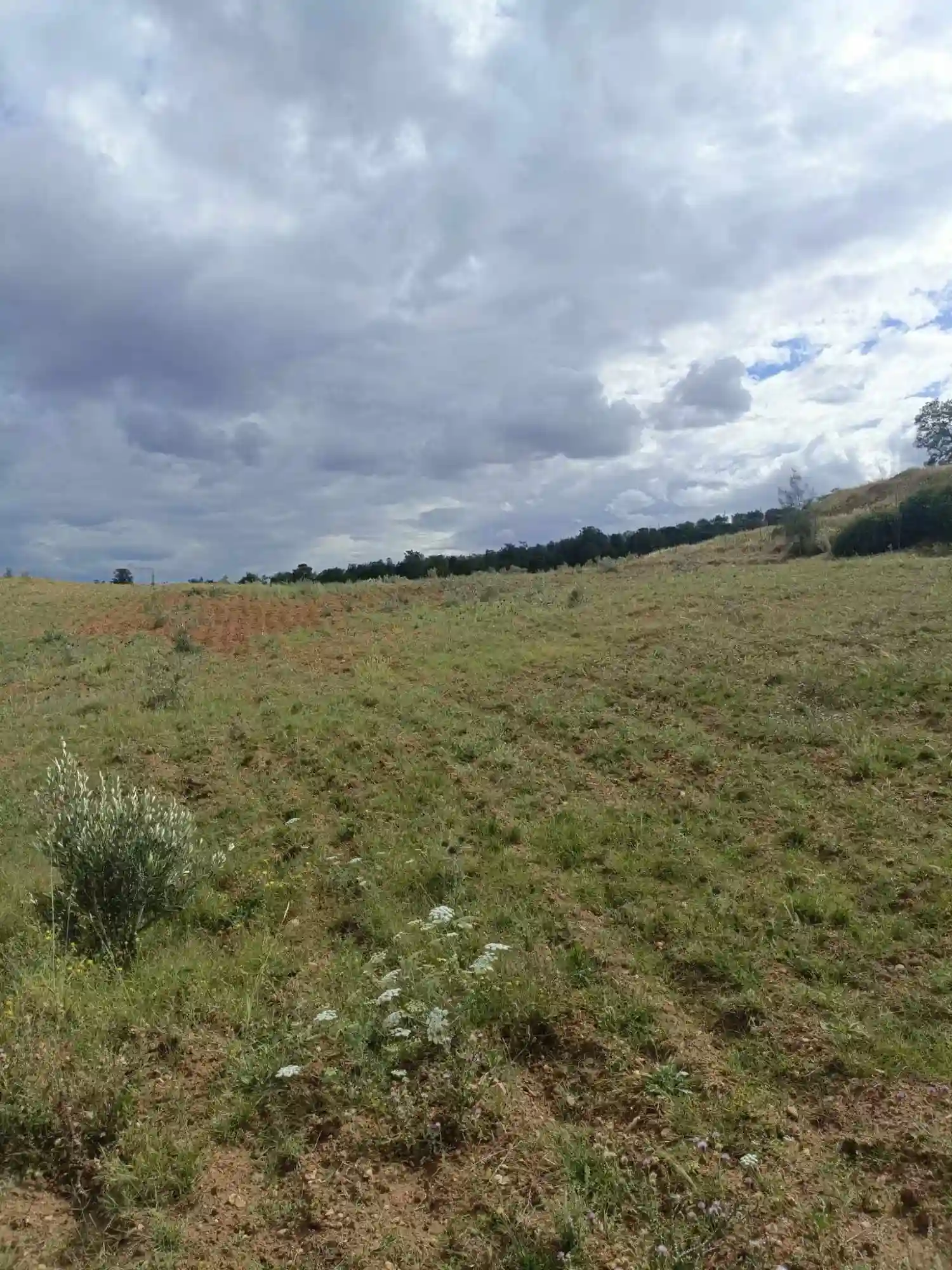 Av 4100m Rote Zriba Zaghouan - Vue 1