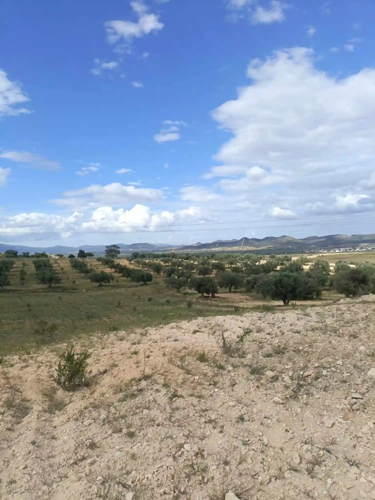 Av 4100m Rote Zriba Zaghouan - Vue 2