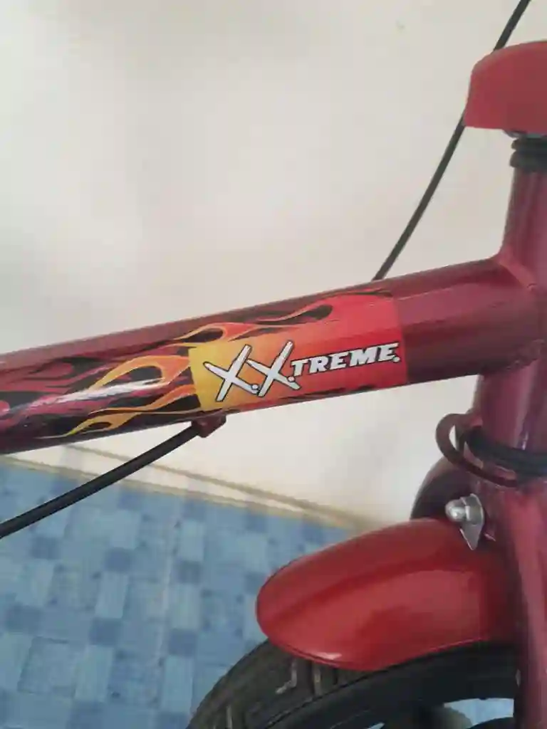 Draisienne Xtrem Neuf Importer - Vue 4