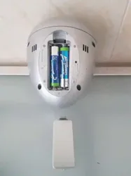 Tom Radio Controlled