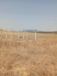 للبيع 7 هكتارات بيضاء زغوان طريق الحمامات