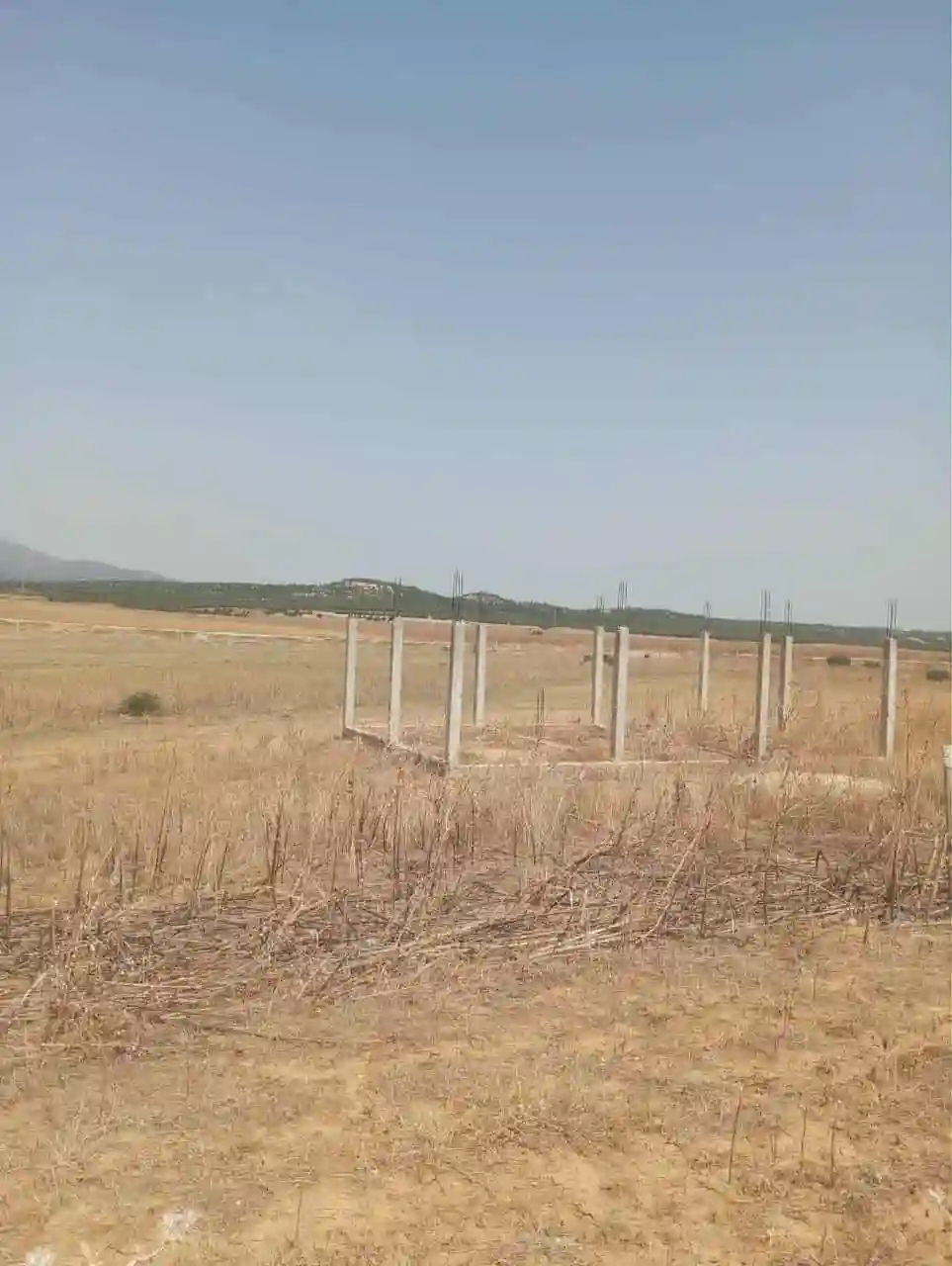 للبيع 7 هكتارات بيضاء زغوان طريق الحمامات - Vue 1