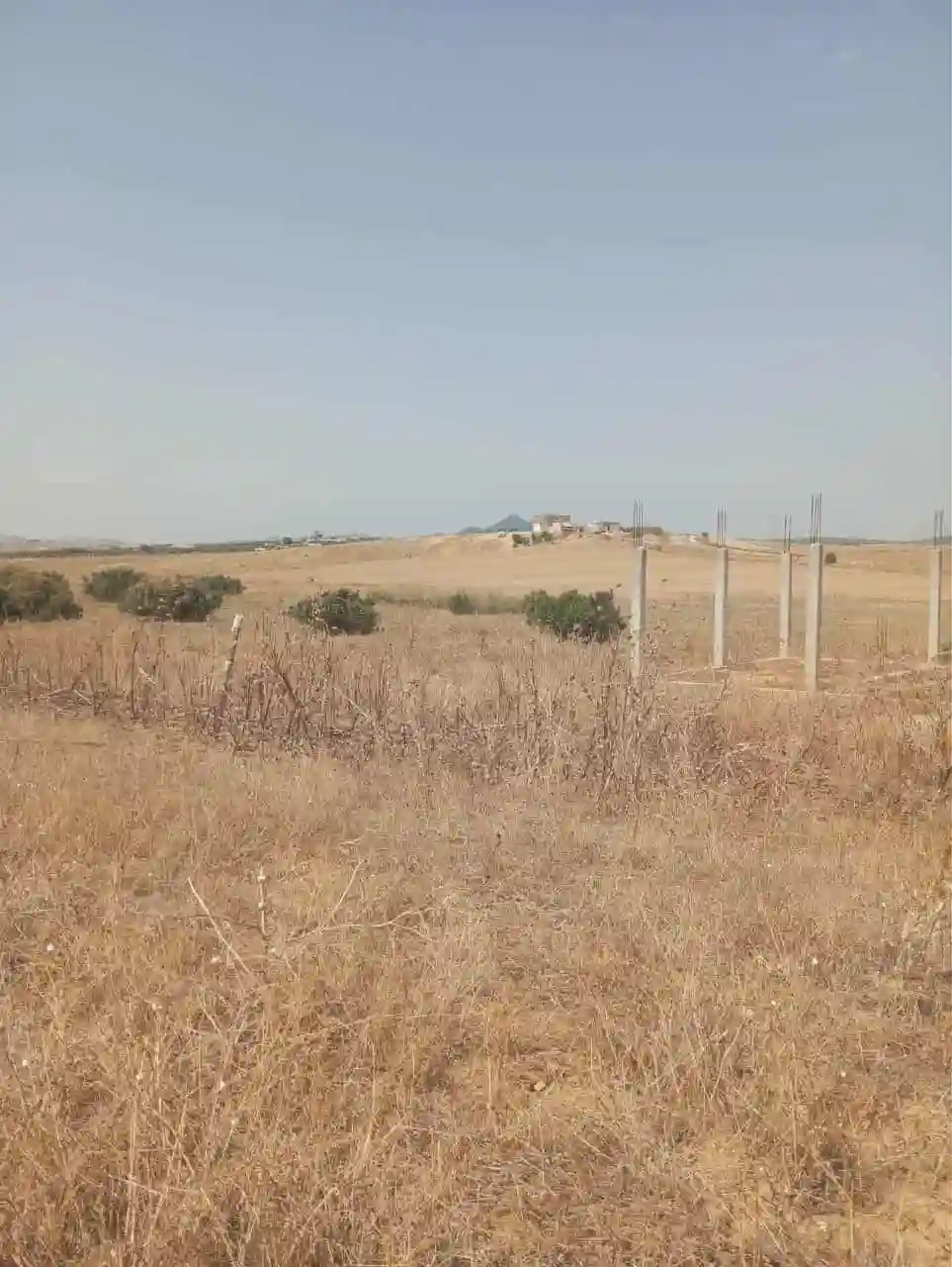 للبيع 7 هكتارات بيضاء زغوان طريق الحمامات - Vue 4