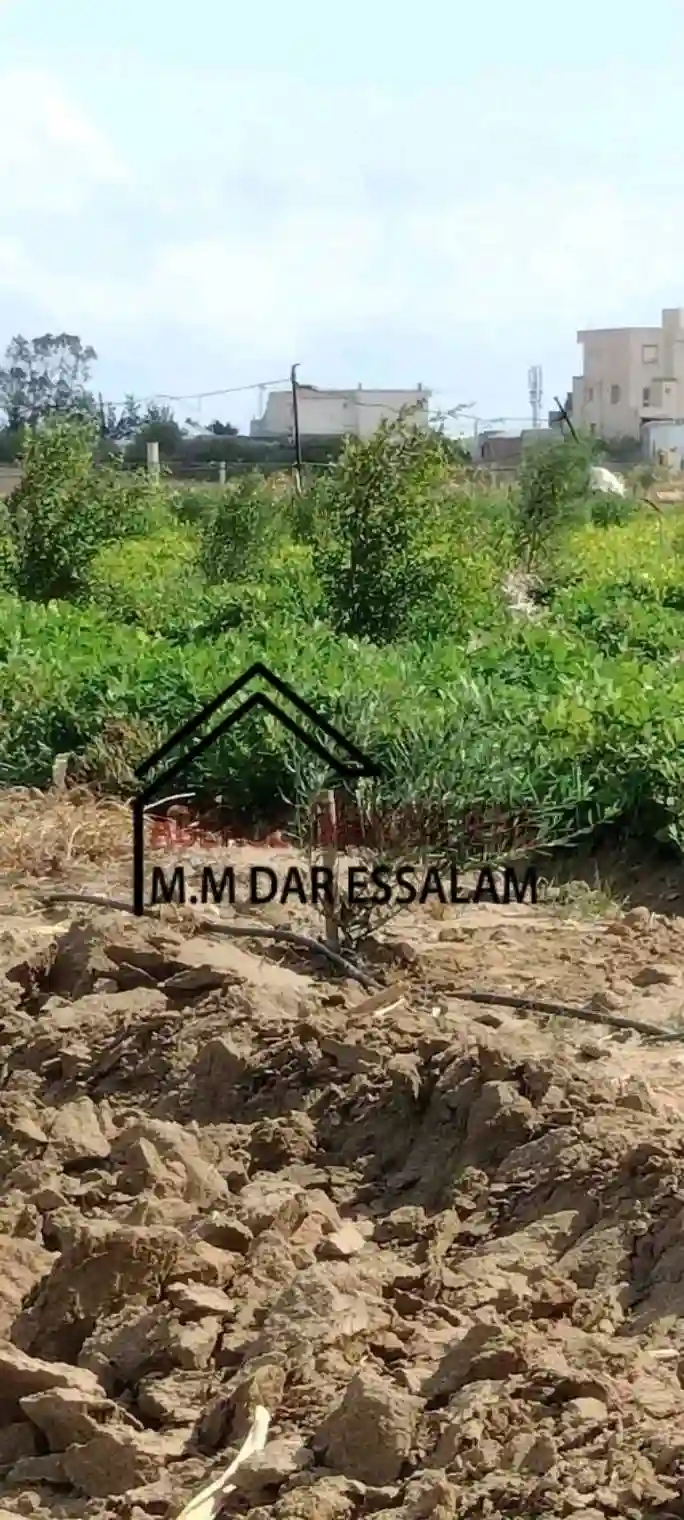 Terrain Agricole Contenant des Arbres - Vue 3