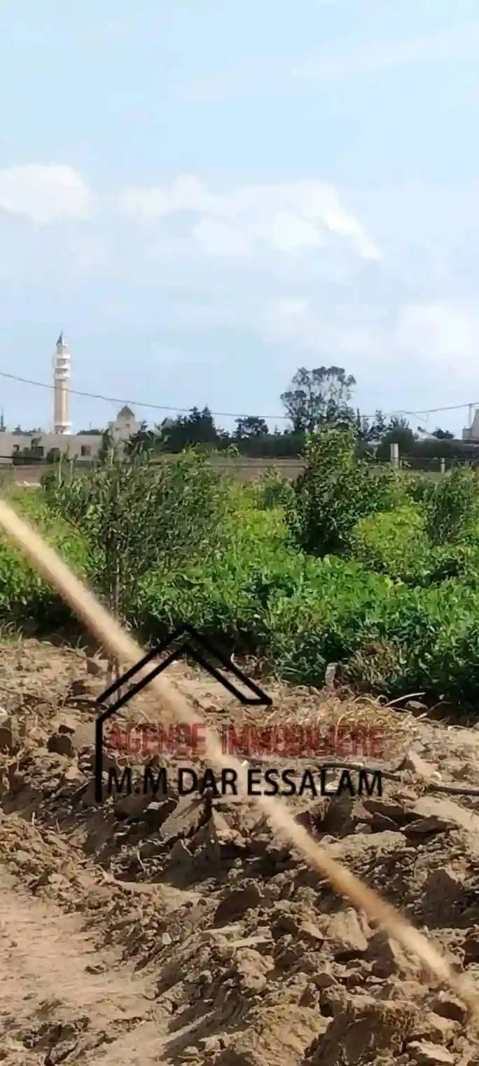 Terrain Agricole Contenant des Arbres - Vue 4