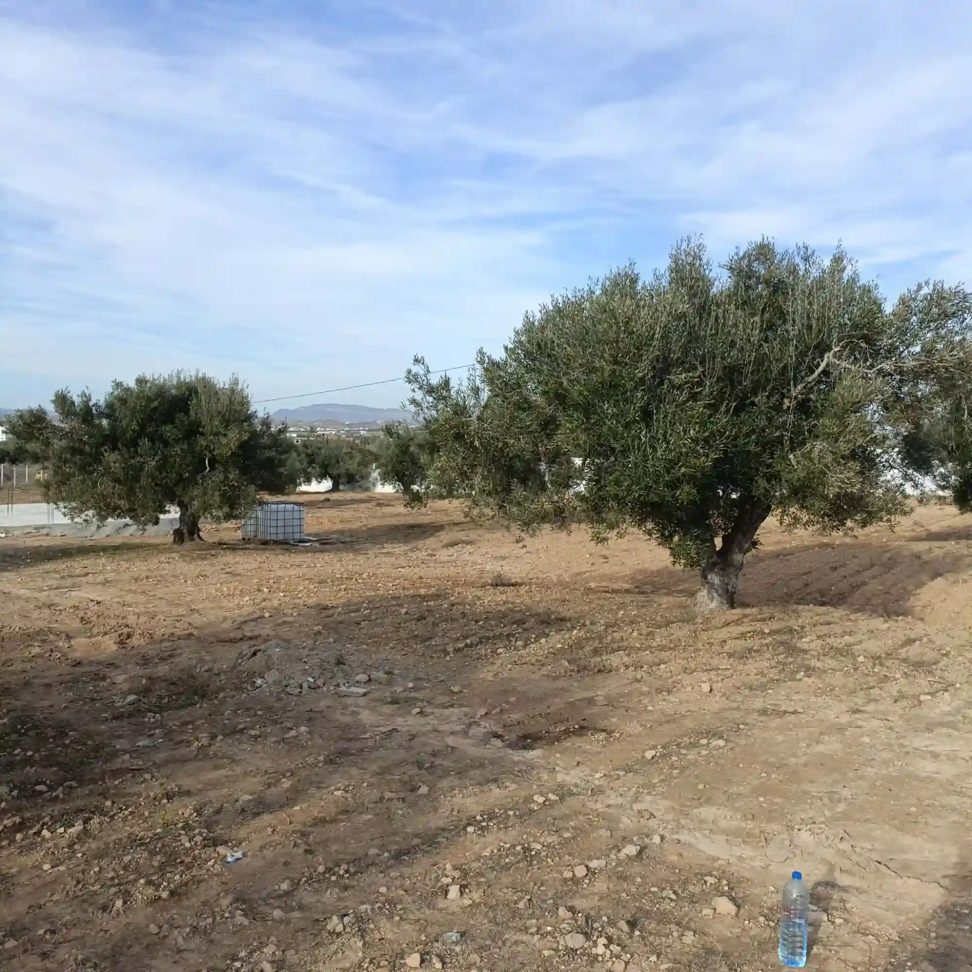 فرصصة للبيع 600م قريب من ياسمين الحمامات - Vue 2