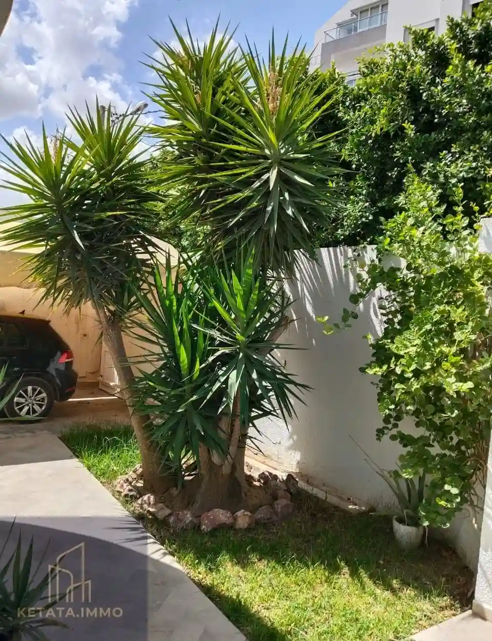 La Ghazelle vnt Villa Yesmine à Cite El Ghazala 1 - Vue 3