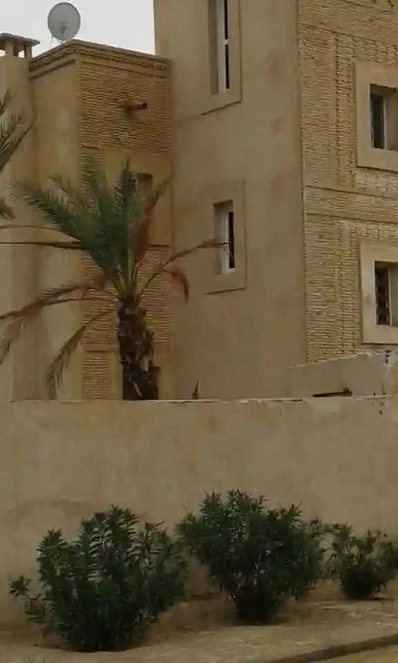 Une Belle Villa à Tozeur Cs5527 - Vue 8