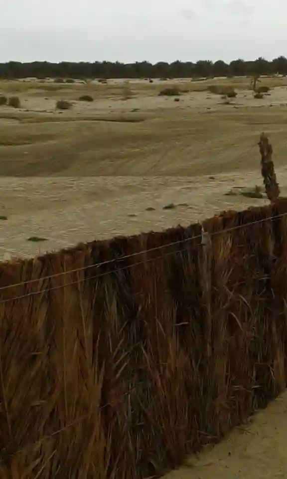 Une Belle Villa à Tozeur Cs5527 - Vue 9