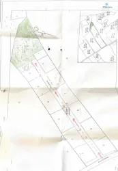 Terrain Darej à Hammamet