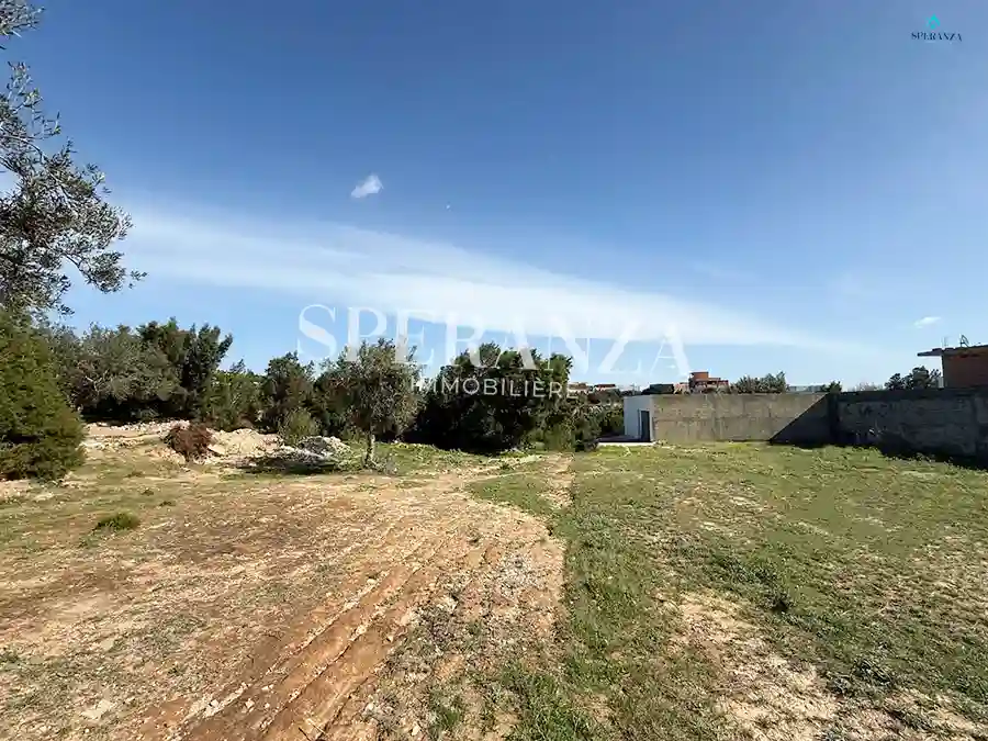 Terrain Darej à Hammamet - Vue 3