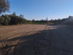 Terrain à Vendre -plage Tazarka-