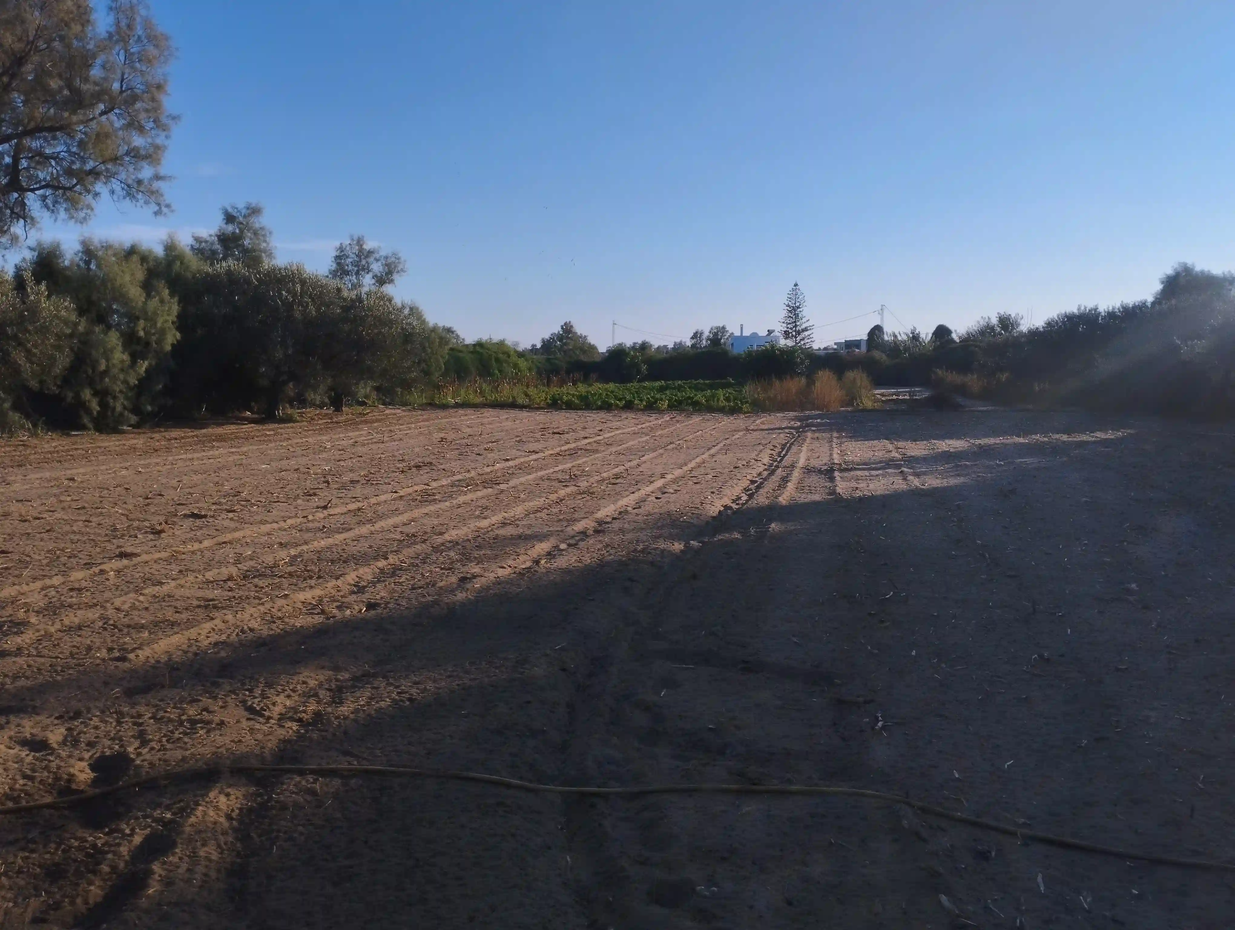 Terrain à Vendre -plage Tazarka- - Vue 1