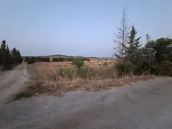 À Vendre Terrain Agricole de 2 Hectares Avec Façade de 100 m su