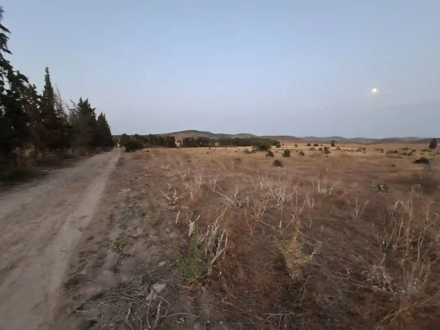 À Vendre Terrain Agricole de 2 Hectares Avec Façade de 100 m su - Vue 3