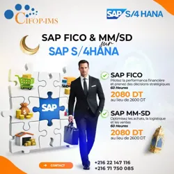 Formation sap mm sd et Fico à El Menzah
