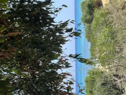 Terrain a Saisir au cap bon