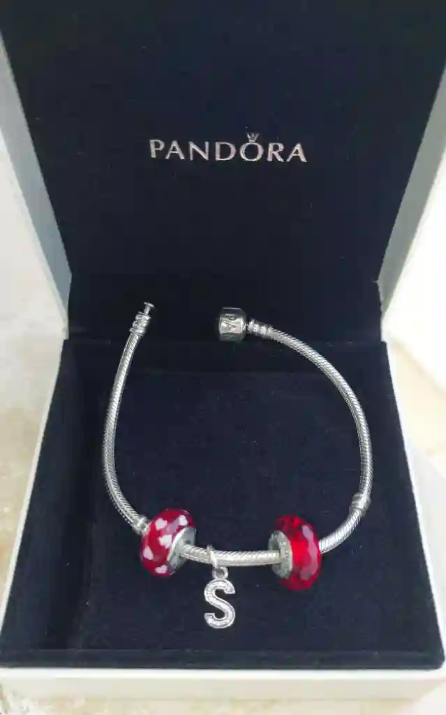 Bracelet Pandora Italy en Argent Massif et Acier Inoxidable - Vue 1