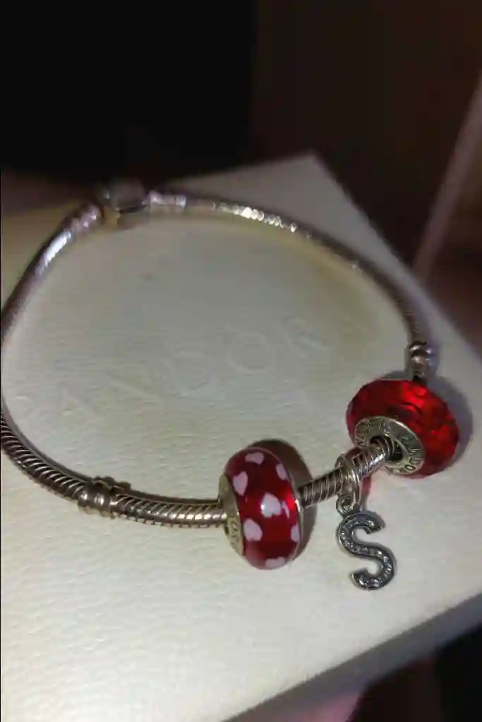 Bracelet Pandora Italy en Argent Massif et Acier Inoxidable - Vue 2