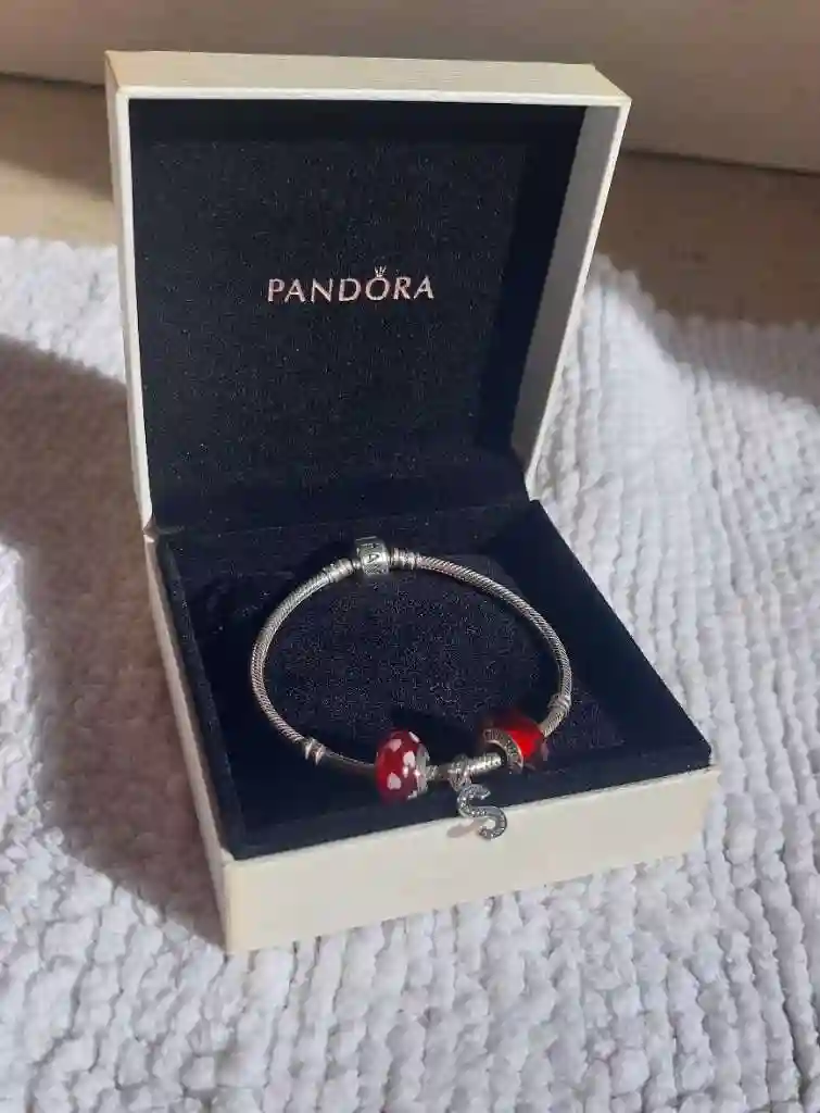 Bracelet Pandora Italy en Argent Massif et Acier Inoxidable - Vue 4