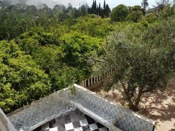 Maison de Campagne 5000 m² ras Jebel - Vue 2