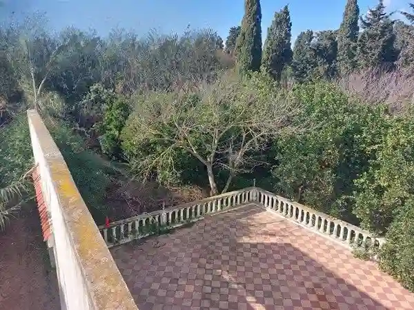 Maison de Campagne 5000 m² ras Jebel - Vue 8