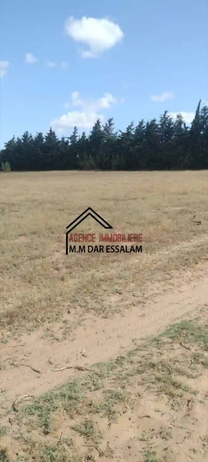 Terrain Près de la Route Principal - Vue 1