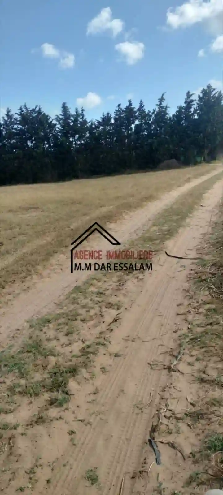 Terrain Près de la Route Principal - Vue 4