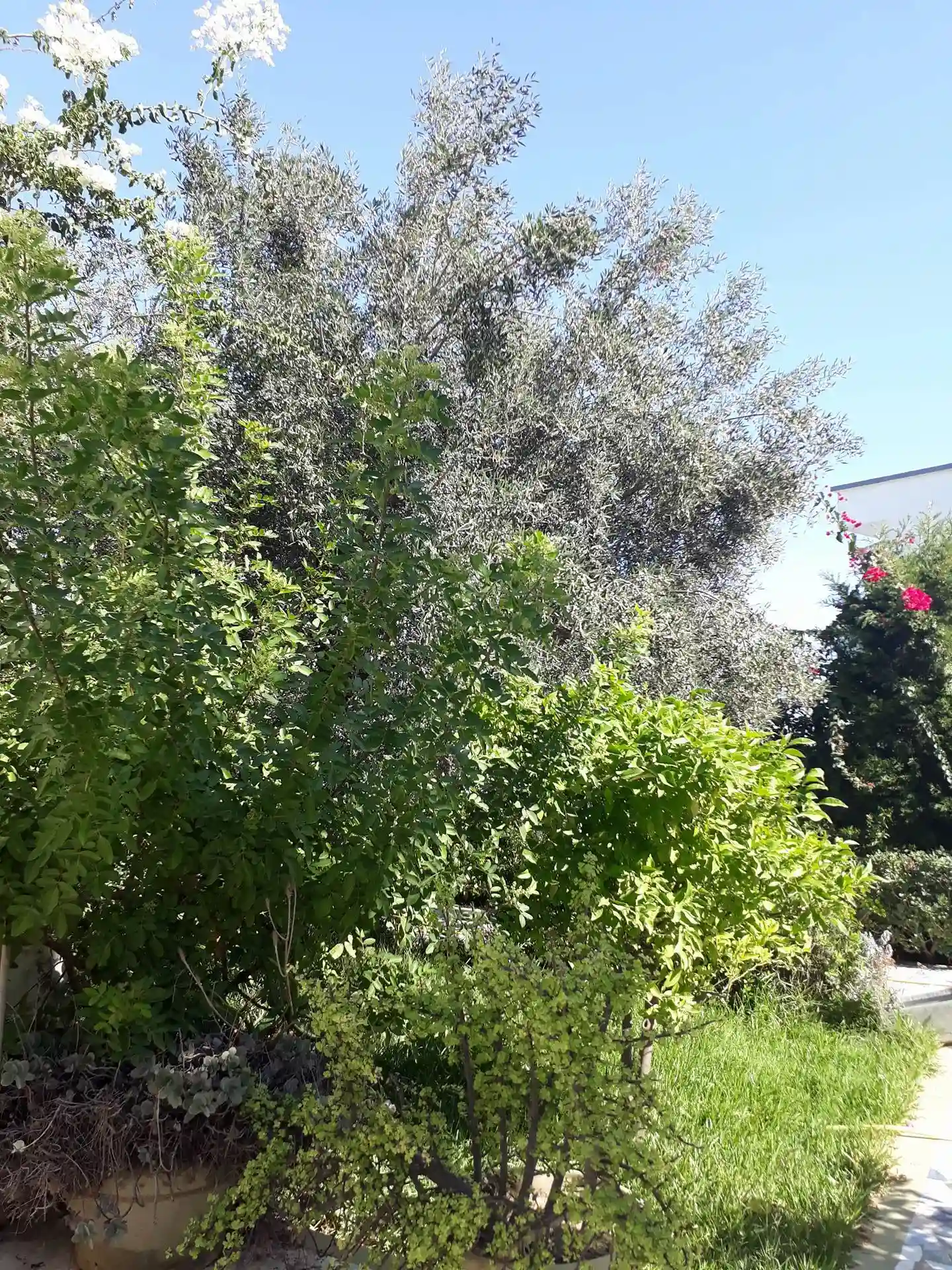 Villa à Rénover à Kantaoui à El Kantaoui - Vue 1